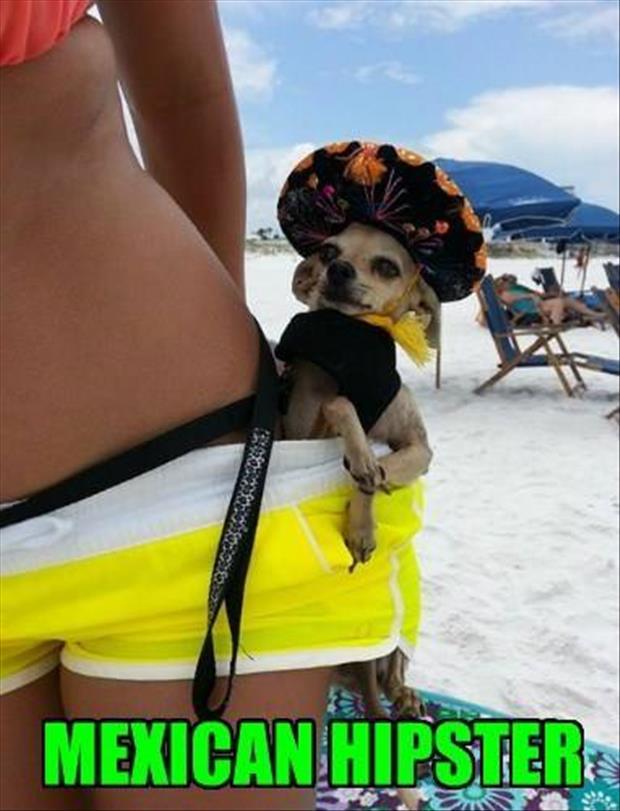 This is what a Mexican Hipster looks like.
