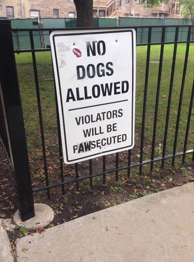 This No Dogs Allowed sign has been modified to more accurately describe what will happen to the offenders.