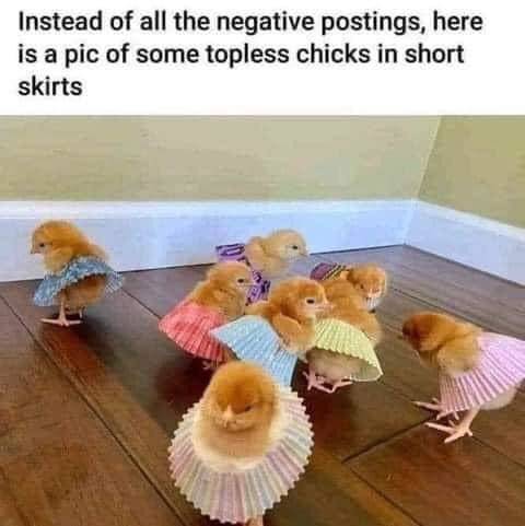 Topless chicks in short skirts.