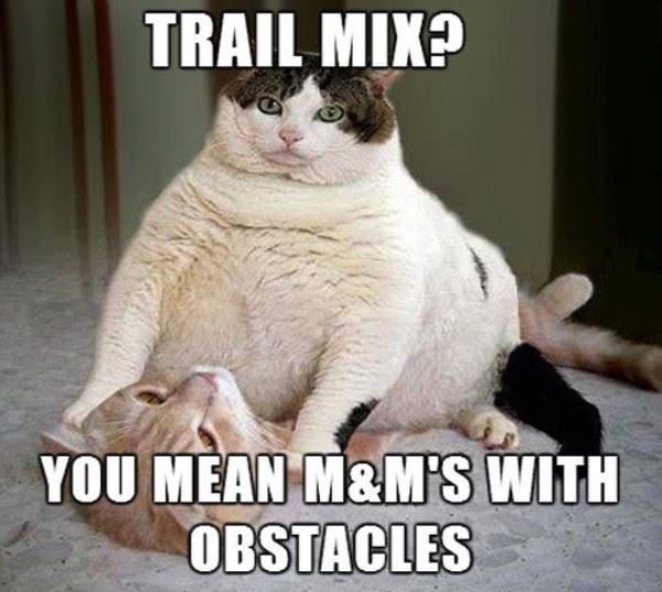 Trail mix is nothing more than M&M's with obstacles you must first conquer.
