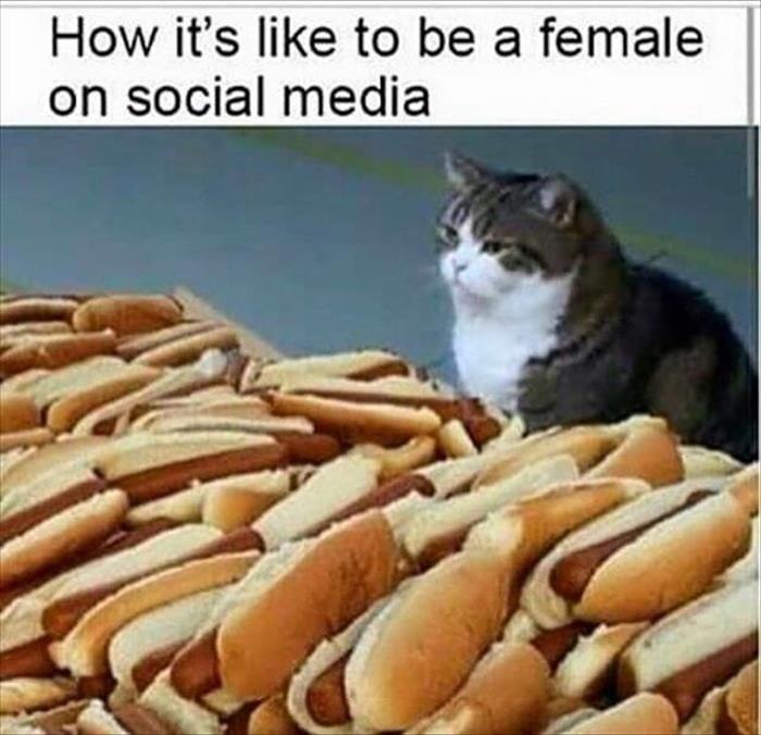 Truthful example of what it is like to be a female in the social media world.