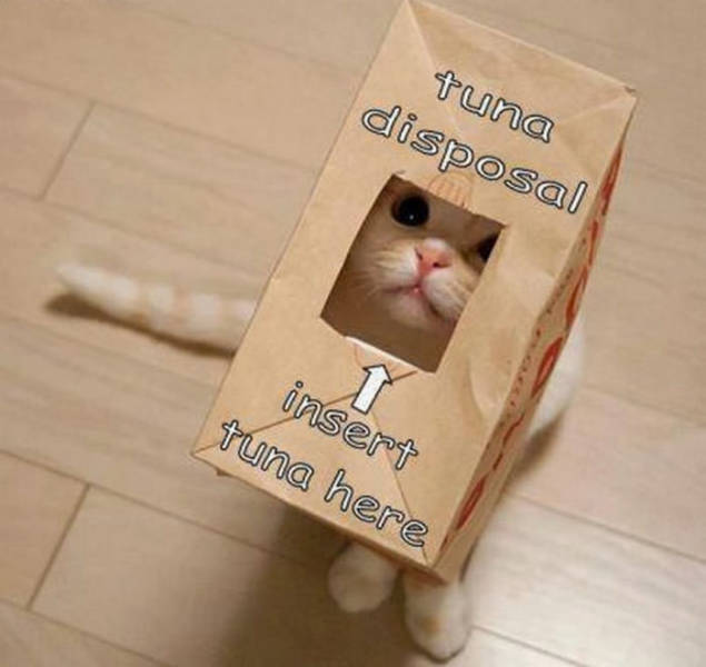 Tuna disposal.