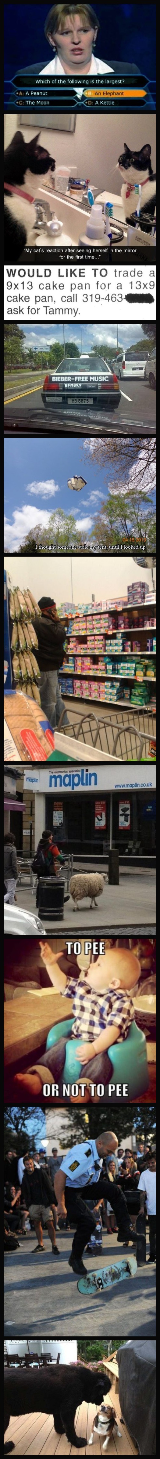 Very Funny Pics In No Particular Order