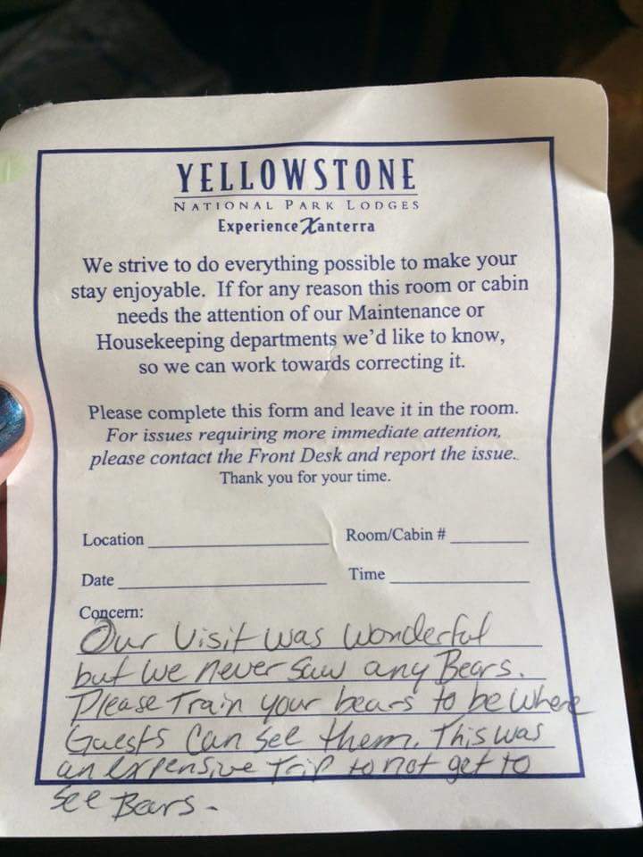 Visitors to Yellowstone National Park have a problem with the bears.