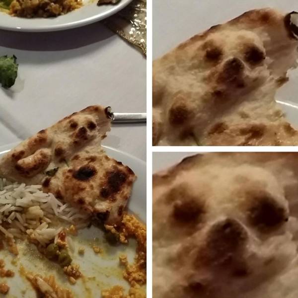 I was eating my food and noticed a chihuahua staring at me.