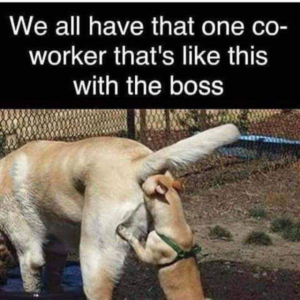 We all have that one co-worker that's like this with the boss.