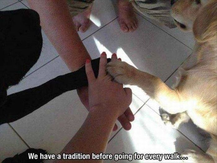 We have a tradition before going for every walk.