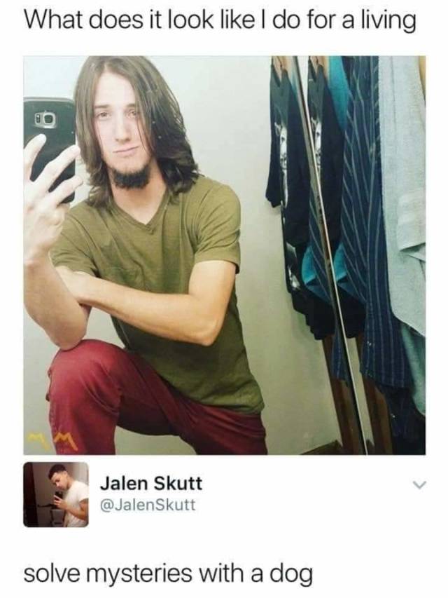 What does it look like I do for a living?