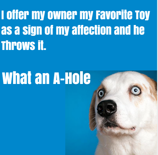 What your dog might actually be thinking when it brings you a toy and then you throw it.