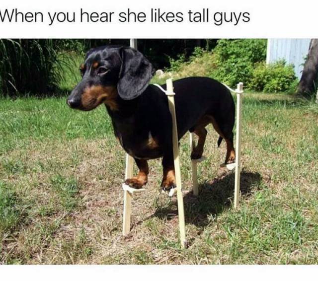 When you hear she likes tall guys.