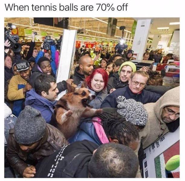 When tennis balls are 70% off.