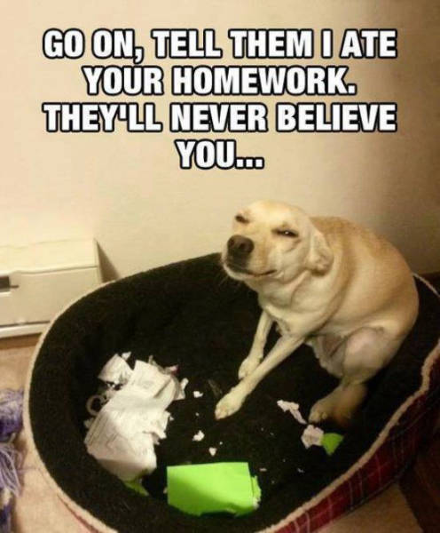 When the dog really does eat your homework, your teacher still won't believe you.