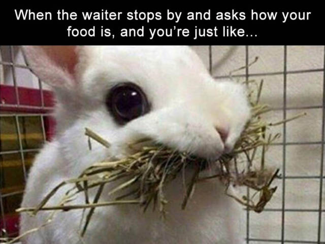 When the waiter stops by and asks how your food is.