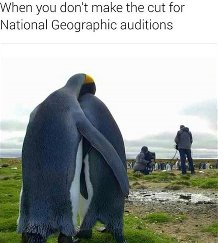 When you don't make the cut for National Geographic auditions.