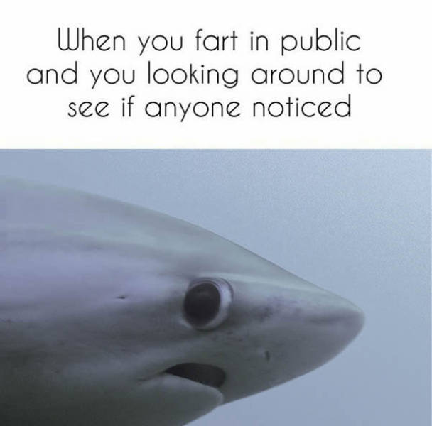 When you fart in public and you looking around to see if anyone noticed.