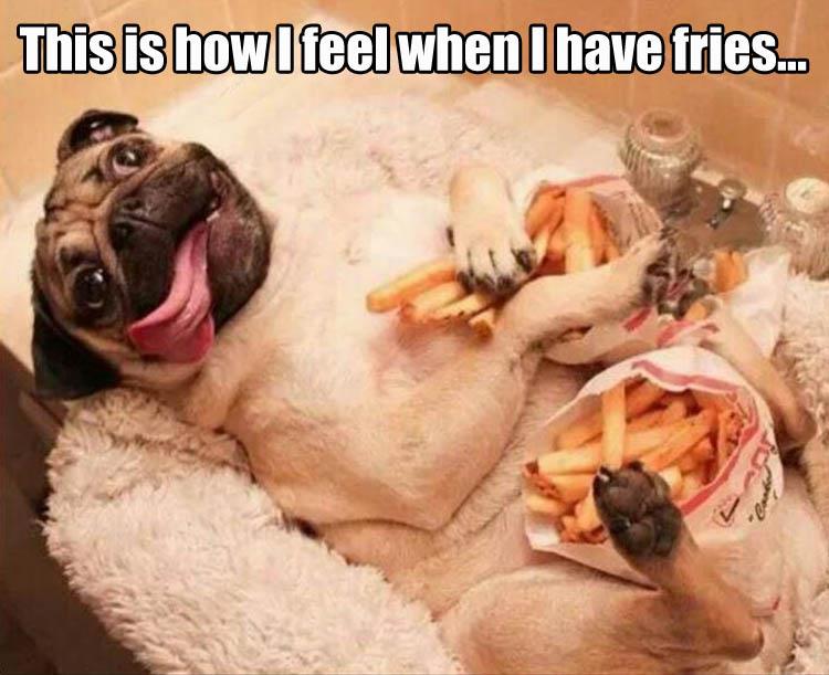 This is how I feel when I have french fries.
