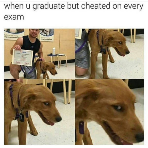 When you graduate, but cheated on every exam.