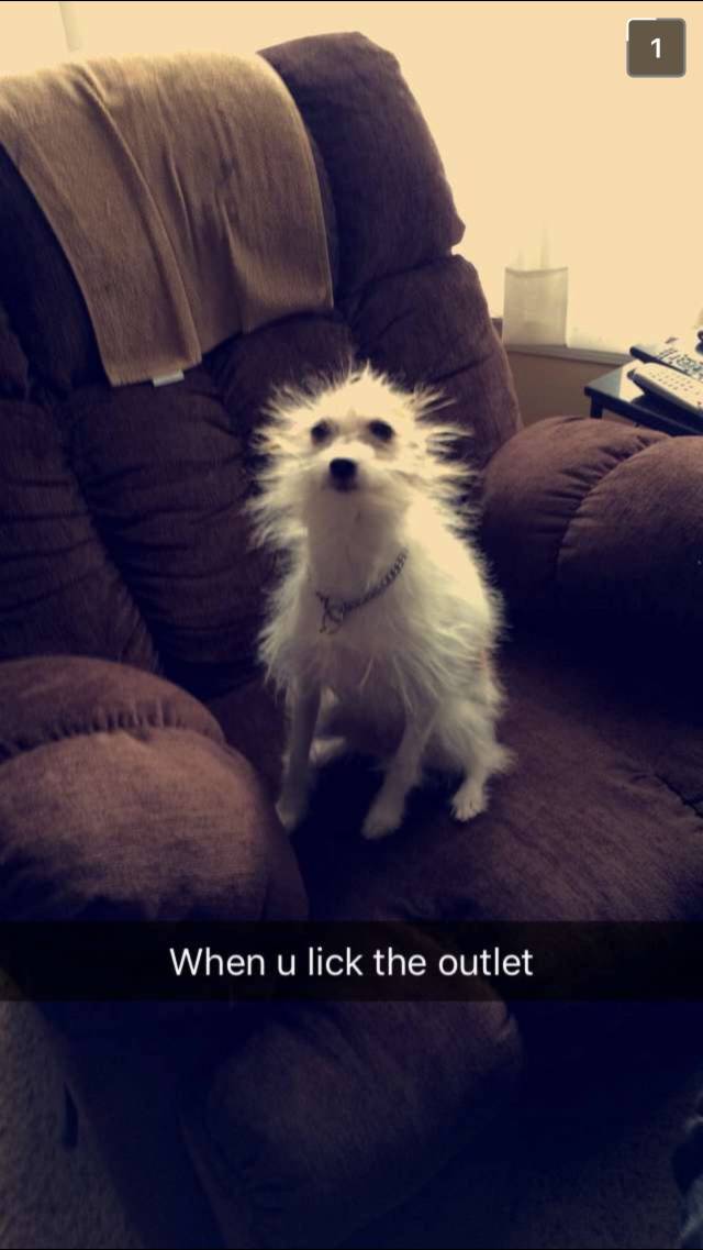 When you lick the electrical outlet.