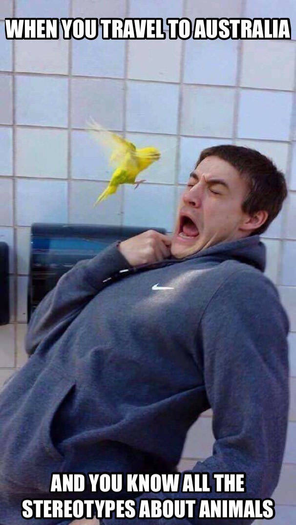 When you travel to Australia.