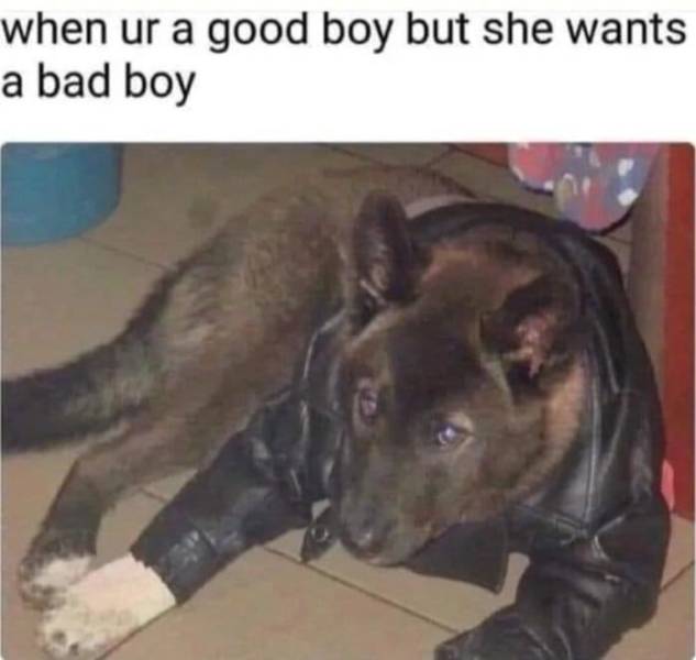 When you're a good boy but she wants a bad boy.