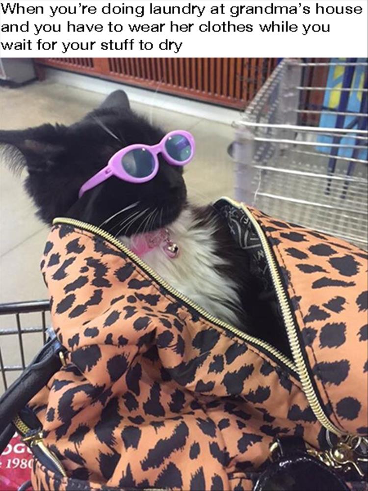 When you're doing laundry at grandma's house.