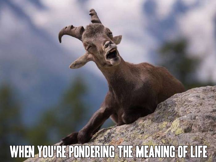 When you're pondering the meaning of life.