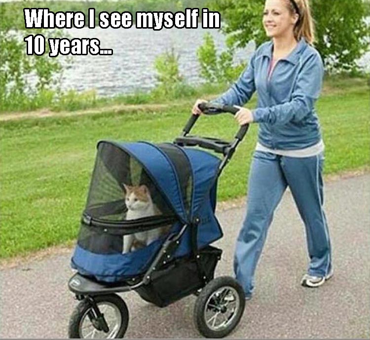 Where I see myself in 10 years.