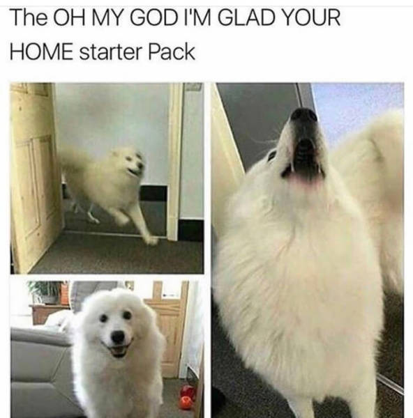 The Oh my God I'm glad you're home starter pack.