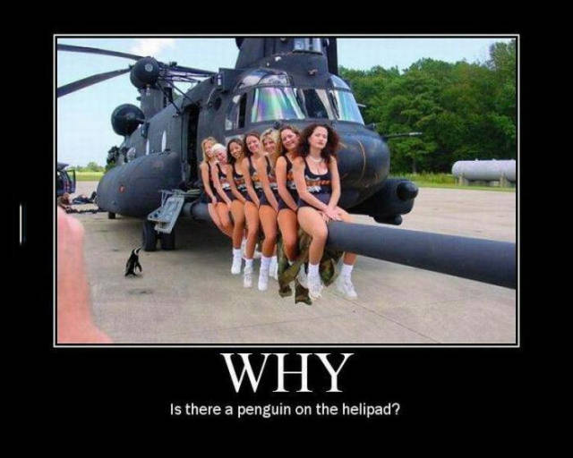 Why is there a penguin on the helipad?