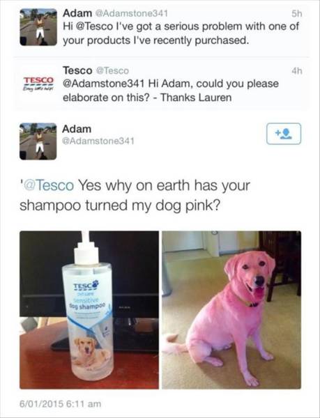 Why on earth has  your shampoo turned my dog pink?