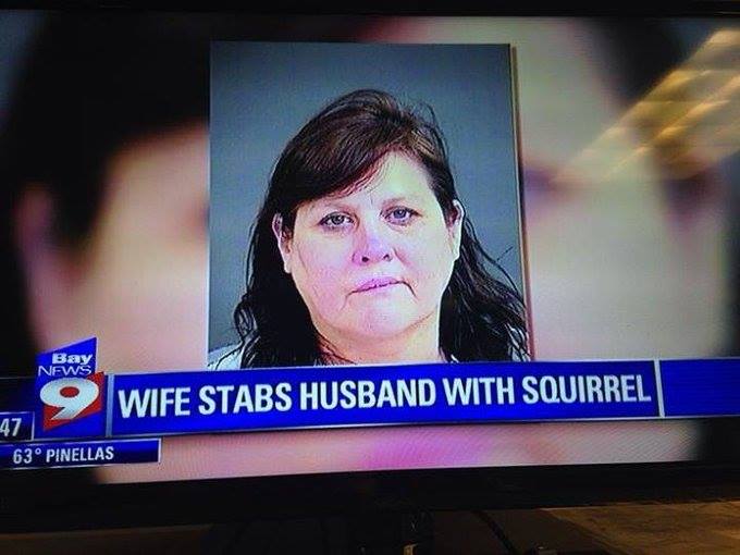 Wife stabs husband with squirrel. Totally nuts!