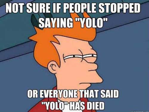 YOLO was like the one hit wonder of memes