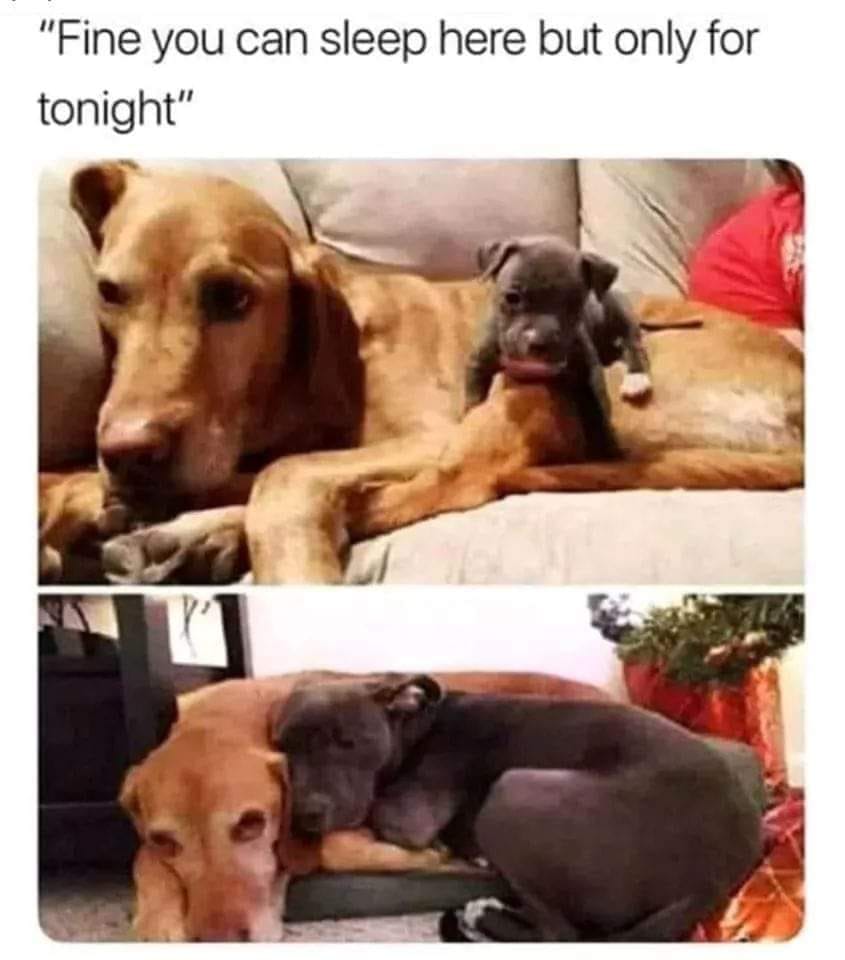 You can sleep here for one night only.