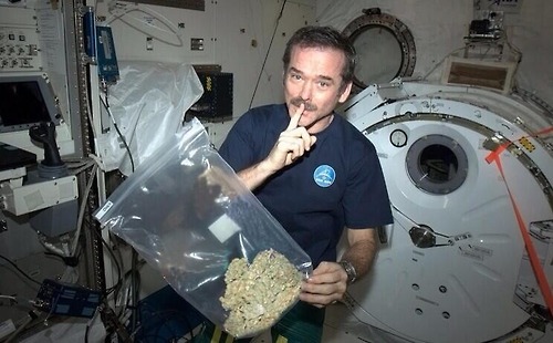 I always wanted to be an astronaut so I could get really high in outer space.