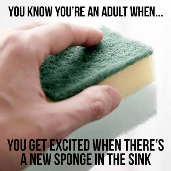 You know you're an adult when a new sponge excites you.