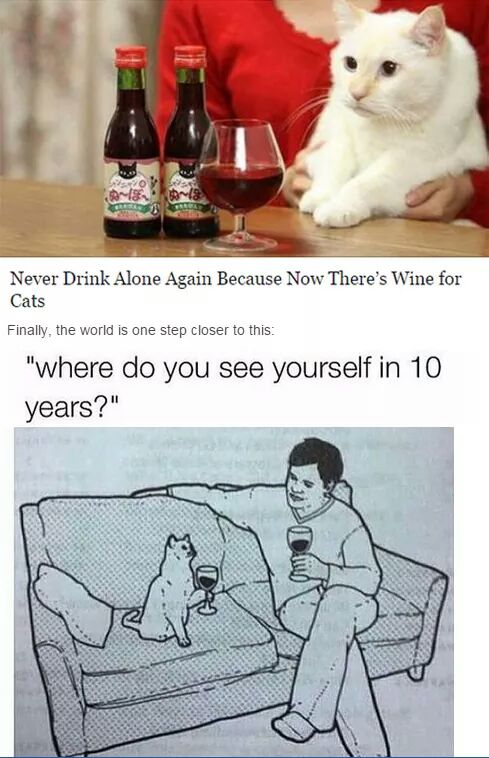 You will never have to drink alone again thanks to wine for cats.