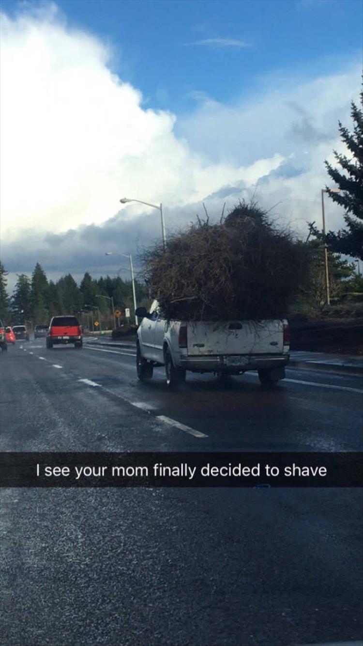 I see your mom finally decided to shave.