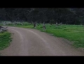 Cyclist stumbles upon a kangaroo zombie apocalypse while on a bike ride in Australia.