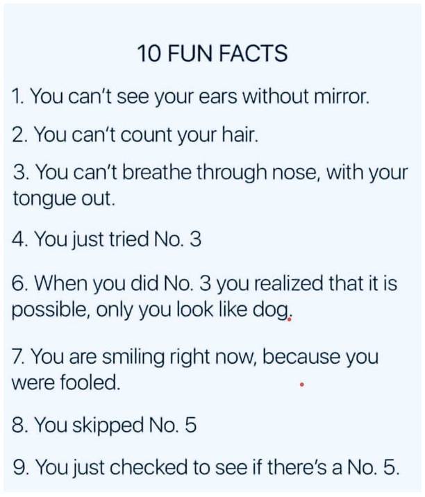 10 fun facts.