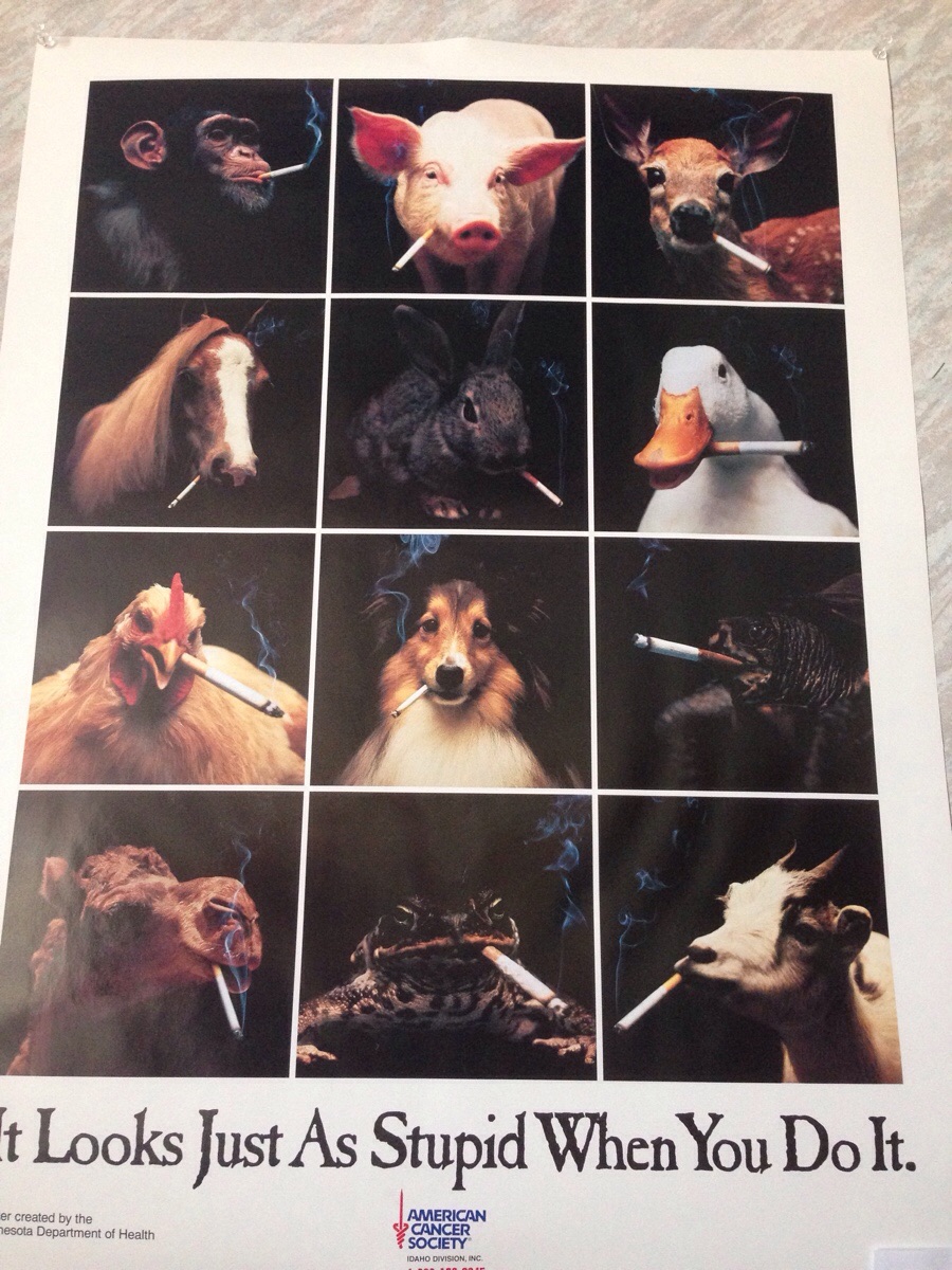 12 animals smoking a cigarette is supposed to look stupid? It looks pretty bad ass to me.