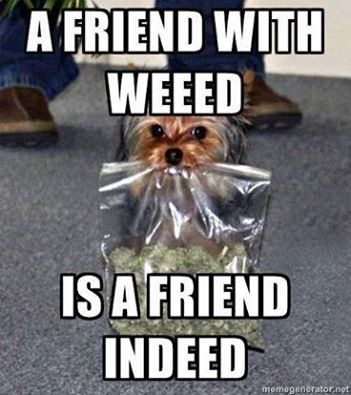 A friend with weed is a friend indeed.