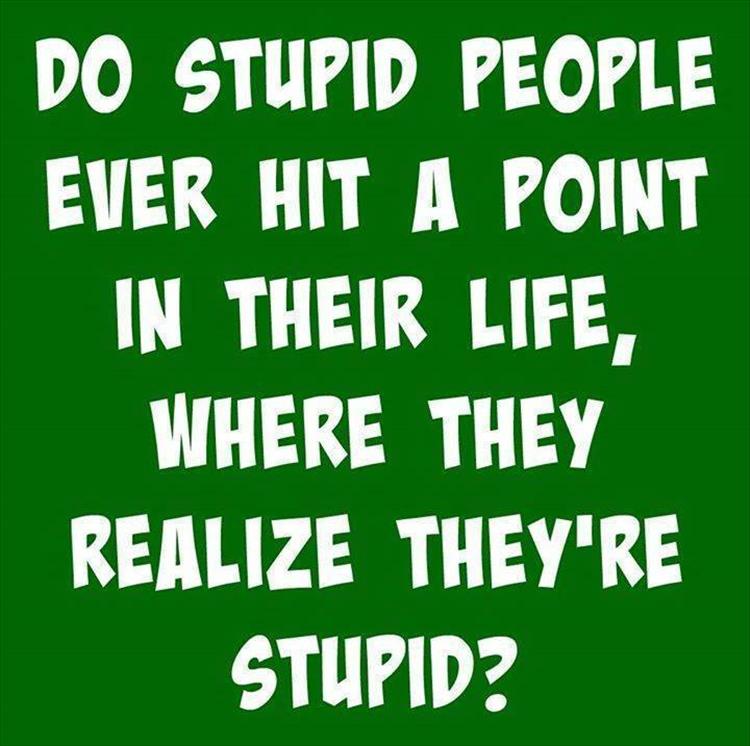 A thought about stupid people.