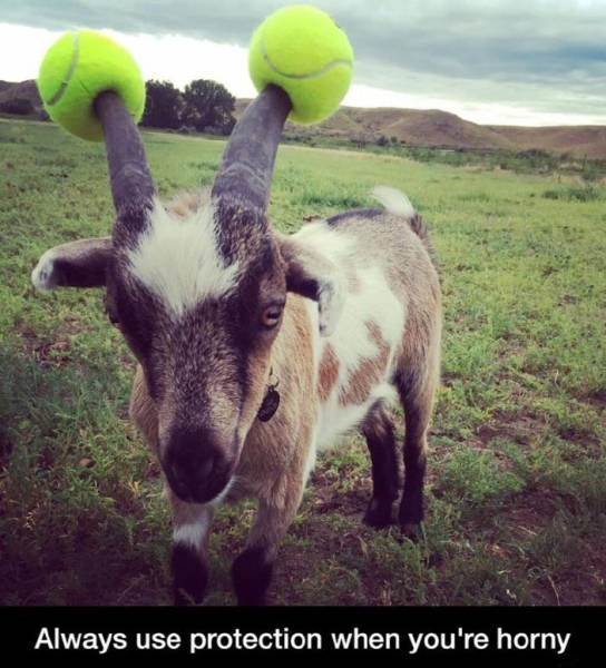 Always use protection when you're horny.