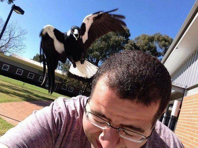 Angry Birds just got real.
