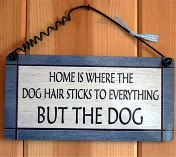 Any Dog Owner Can Tell You This Sign Is Absolutely Correct.