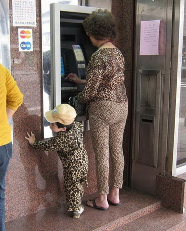 Urban leopard and her offspring spotted in the wild.