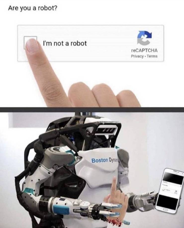 Are you a robot?
