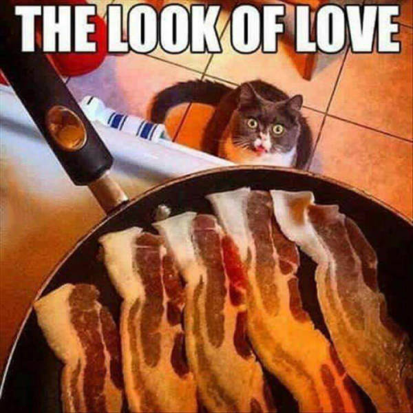 Bacon always brings out the look of love.