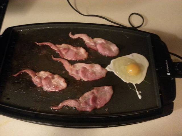 Bacon and eggs anyone?