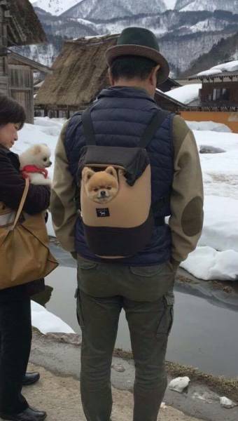Bark pack.